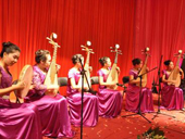 吉林省琵琶專業(yè)委員會活動展示